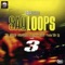Loop 10 (108 BPM) - Bally Sagoo lyrics