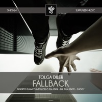 Fallback - EP - Tolga Diler