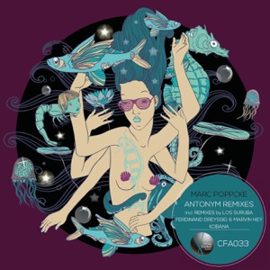 Antonym Remixes - Single