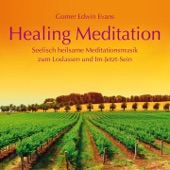 Healing Meditation: Seelisch heilsame Meditationsmusik artwork