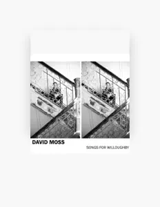 Ascolta David Moss, guarda video musicali, leggi la biografia, vedi le date del tour & altro!