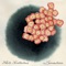 Chant de Grillon - White Hinterland lyrics