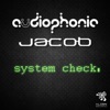 System Check - Single