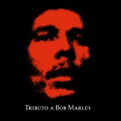 Tributo a Bob Marley artwork