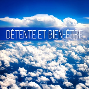 Détente et Bien-être – New Age musique pour méditation et relaxation, training autogène, serenity spa songs, massage, dormir, étudier, yoga et zen relaxant (feat. Spa Musique Massage)
