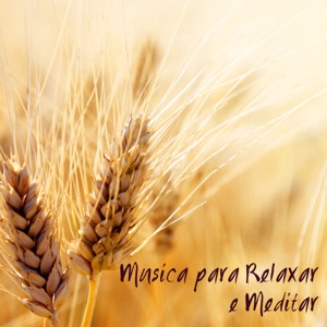 Música para Relaxar e Meditar - Mùsica Doce Zen de Fondo para Pensamento Positivo e Meditação para Iniciantes