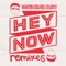 Hey Now (feat. Kyle) [Laidback Luke Remix] - Martin Solveig & The Cataracs lyrics