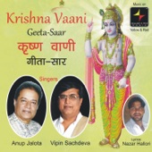 Krishna Vaani (Geeta Saar) artwork