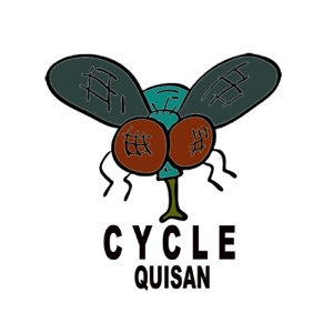 Cycle - Single