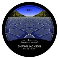 What I Say - Shawn Jackson