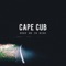 Keep Me in Mind - Cape Cub lyrics