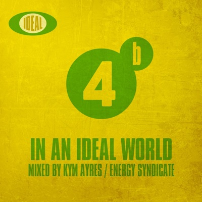 In an Ideal World Vol. 4B