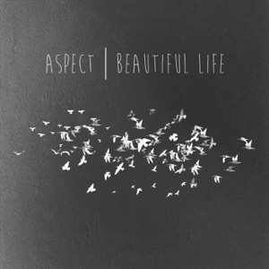 Beautiful Life