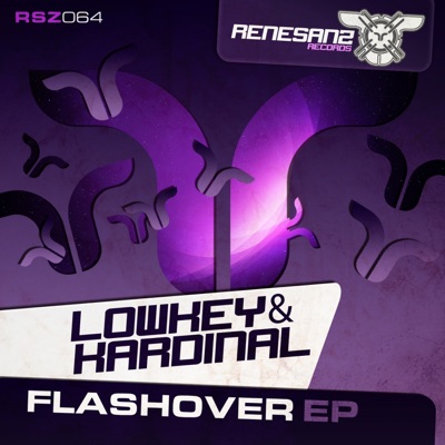 Flashover - Single