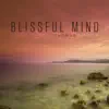 Blissful Mind (Elevator Phase Remix)