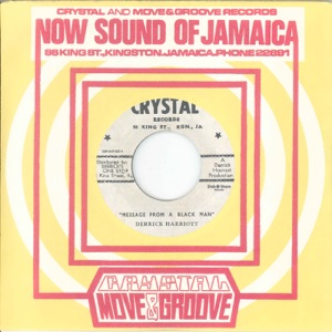 Message From a Black Man - Single