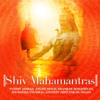 Shiv Mahamantras - Various Artists