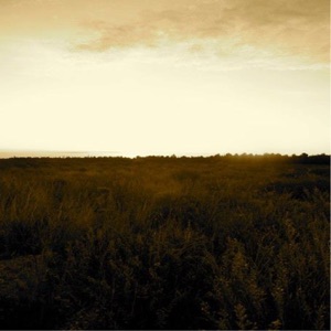 Ohm Synthesis - Single