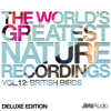 British Birds - Nightjar Bird Sounds (Nature Sounds) - Global Journey