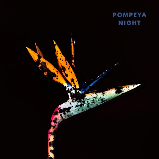 Cover artwork for Does