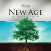 New Age - The Luxury Collection, 2013