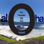 The Kalua Beach Boys - An Old Hawaiian Custom