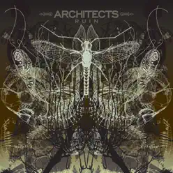 Ruin - Architects