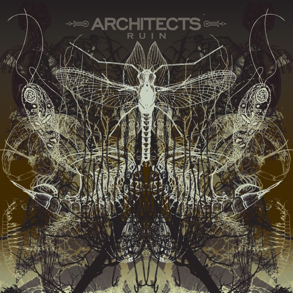 Ruin - Architects