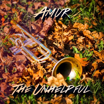 The Unhelpful - Single