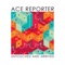 Bronze - Ace Reporter lyrics