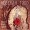 Tornado - Rebekah Todd lyrics