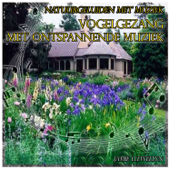 Natuurgeluiden met Muziek: Vogelgezang met ontspannende Muziek