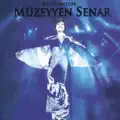 Mehtaplı Gecelerde