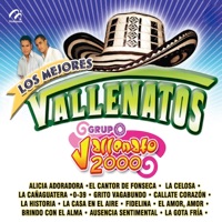 Grupo Vallenato 2000 - Jaime Molina