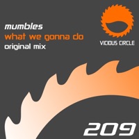 What We Gonna Do - Single - Mumbles