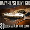 Baby Please Don't Go! 30 Essential Blues Songs artwork