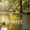Friendly Breaks - Birds From the North (The Forest Chillout Mix)