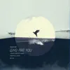 Pozitive - Who Are You (Aeropolis Remix)