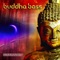 Enigmatica (Desert Dwellers Remix) - Buddha Bass & Desert Dwellers lyrics
