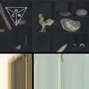 OCN - Dom