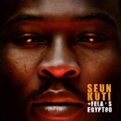 Seun Kuti - Mosquito Song