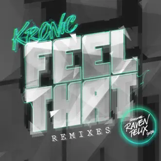 Feel That (feat. Raven Felix) [Jay Sounds & G-Wizard Remix] by Kronic song reviws