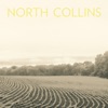 North Collins
