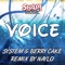 Voice (Naylo remix) - System & Berry Cake lyrics