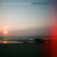 Falling — The Bird's Companion