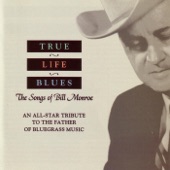 Various Artists - True Life Blues