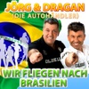 Wir fliegen nach Brasilien - Single