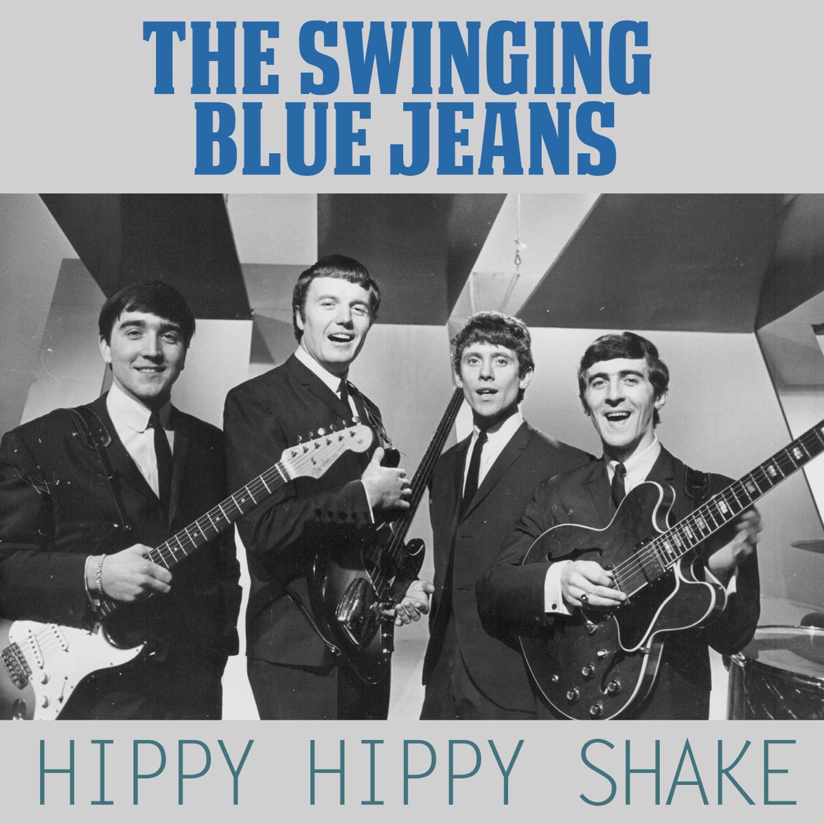 Hippy Hippy Shake - Single by The Swinging Blue Jeans on Apple Music