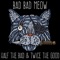 Did I - Bad Bad Meow lyrics