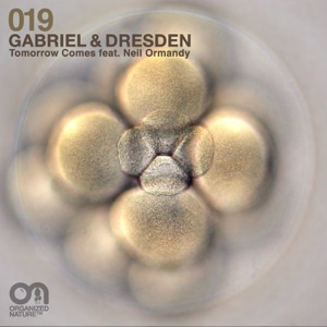 Tomorrow Comes (feat. Neil Ormandy) - Single